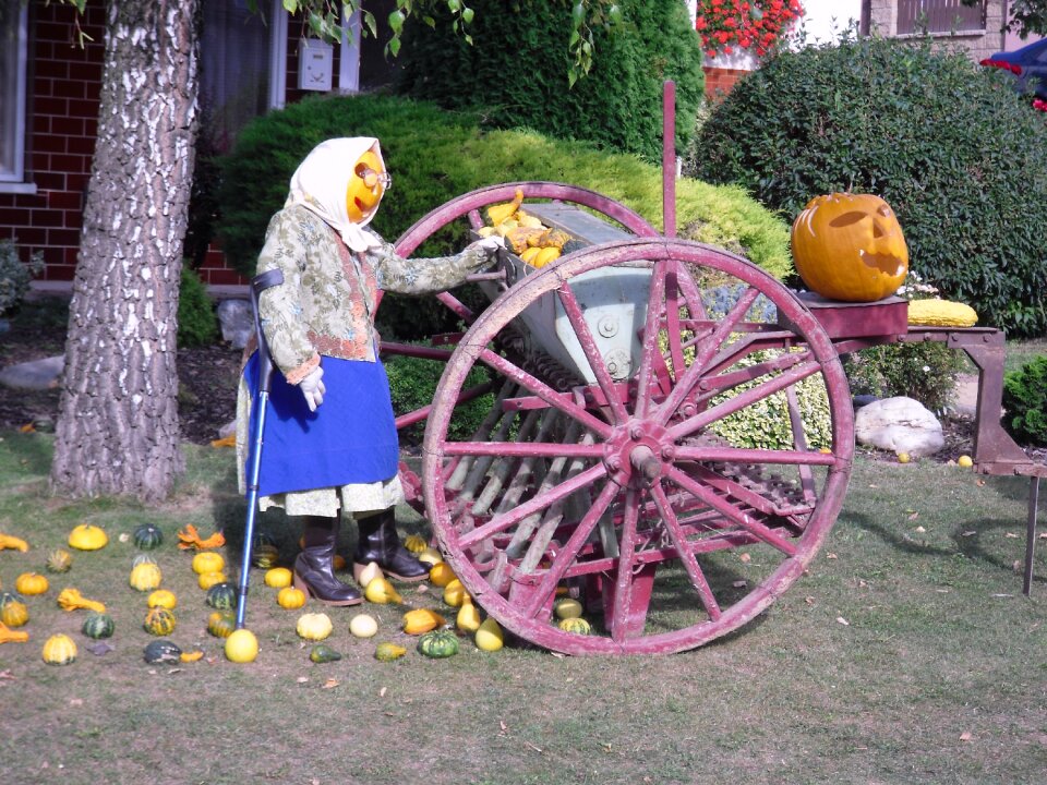 Creation pumpkin seeding-machine