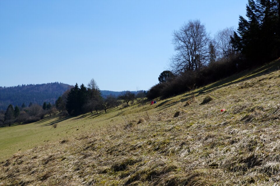 Nature landscape honing mountain