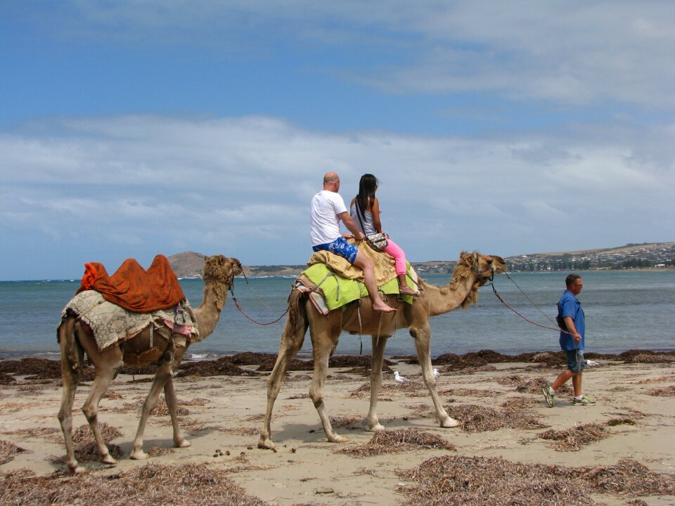 Australia beach tourist