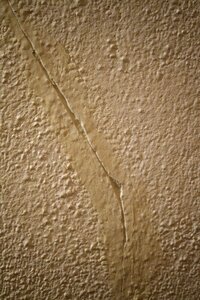 Putty rehabilitation renovate