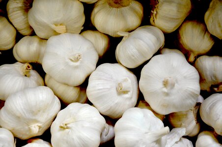 Garlic vegetables food