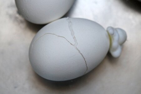 Expired protein white