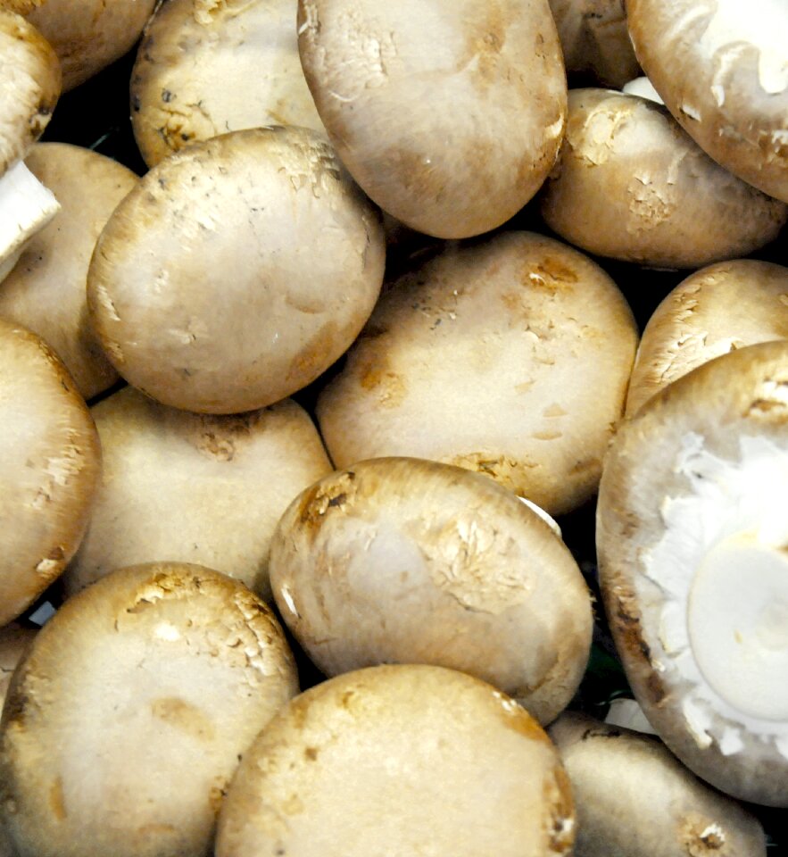 Mushroom vegetables food