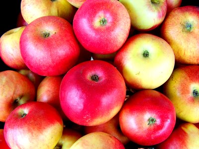 Red apple fruit food photo