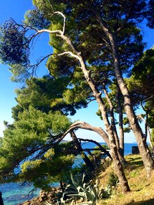 Sea blue sky