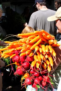 Market vegetables colorful