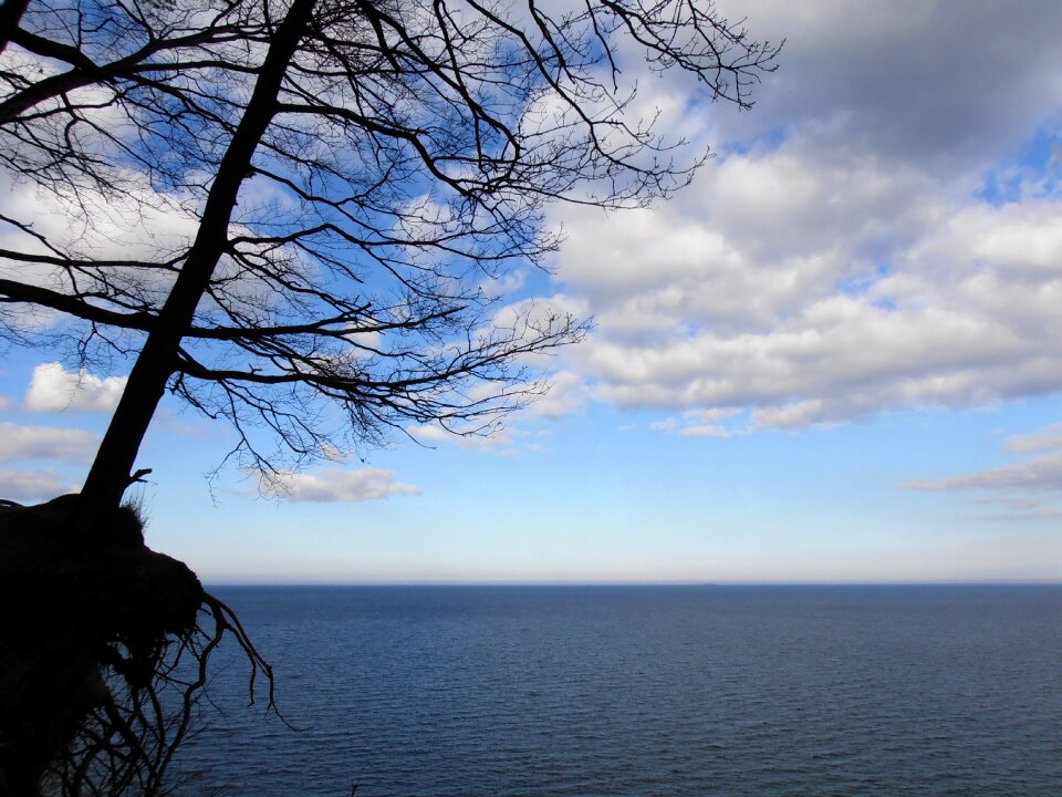 Sky landscape the roots of the