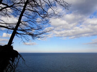 Sky landscape the roots of the