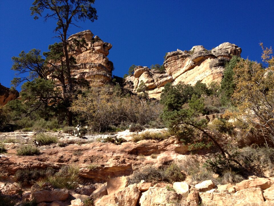 Arizona nature outdoor
