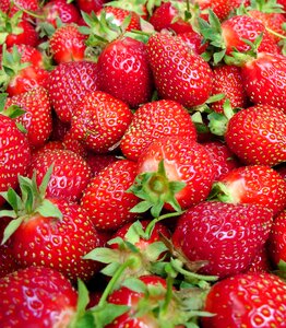 Fruit fresh natural