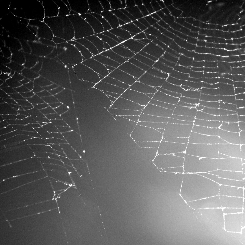 Web grey construction