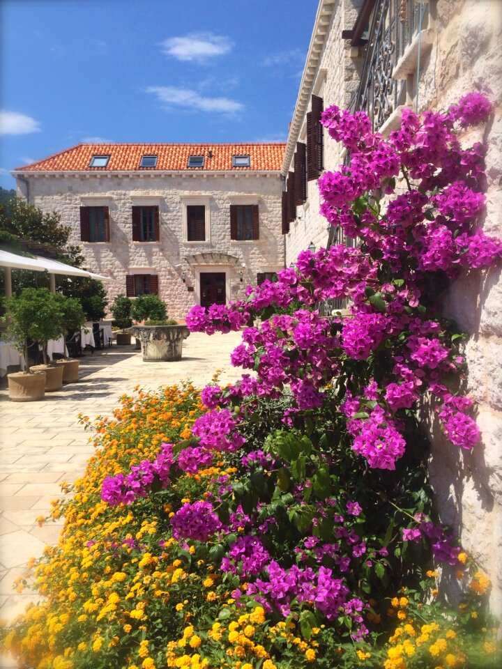 Castle hotel kazbek hotel hotel dubrovnik