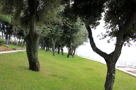 Park mediterranean recovery