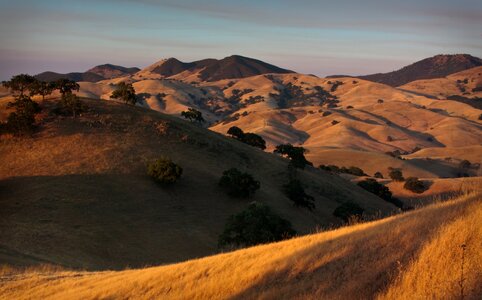 Park oak grassland photo