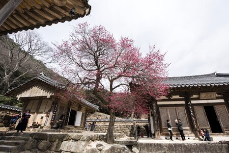 Hwaeomsa jiri temple