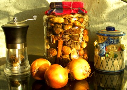 Still life stray sunlight light and shadow play photo