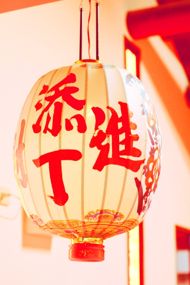 Taiwan 燈 long chinese