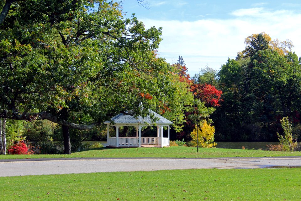 Botanical center white trees