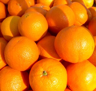 Orange fruit Free photos