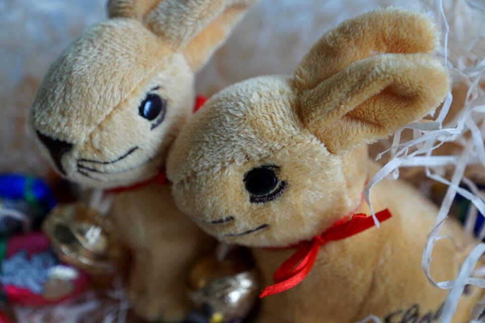 Festival chocolate animal