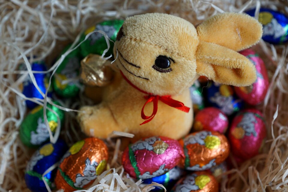 Festival chocolate animal