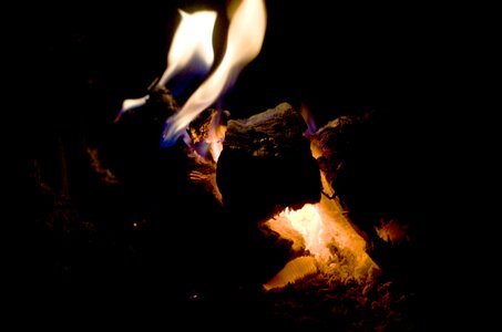 Flame burn wood fire photo
