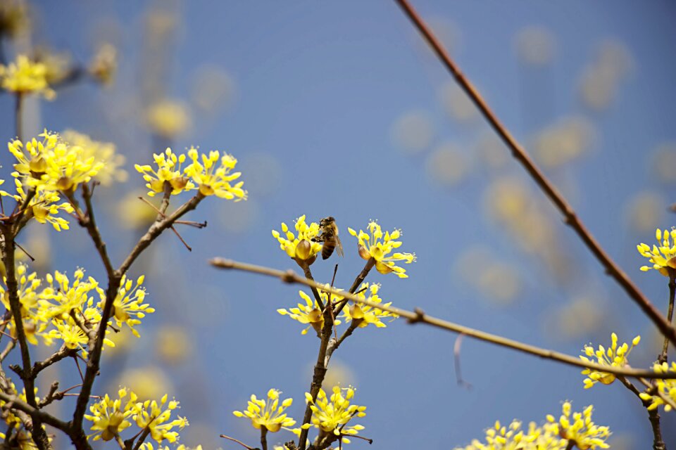 Nature landscape spring