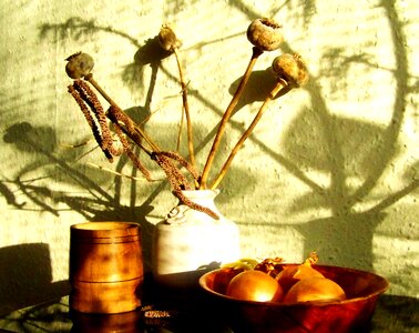 Still life stray sunlight light and shadow play photo