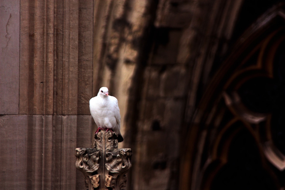 Cathedral top roof