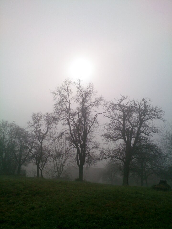 Mood autumn backlighting