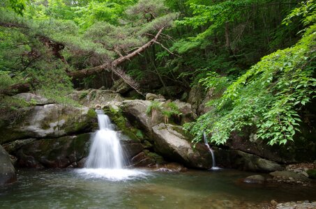 Jiri yongso falls nature photo