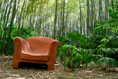 Art nature zen