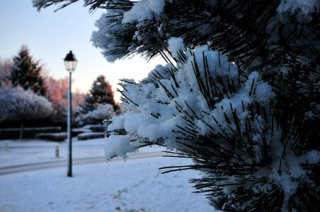 Aurora morning reverberatory