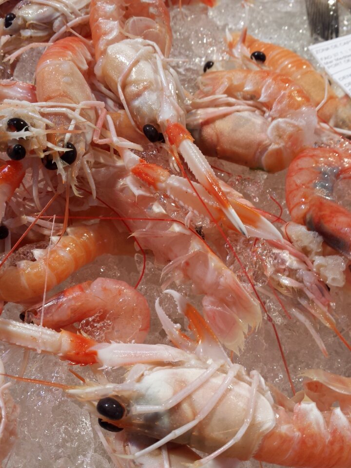 Paella food spanish food