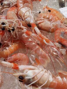 Paella food spanish food