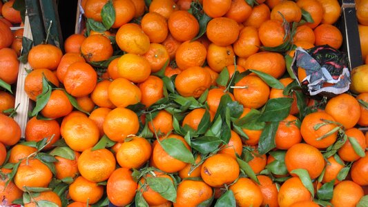 Citrus fruit fruit food photo