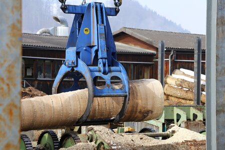 Sawmill tree bark