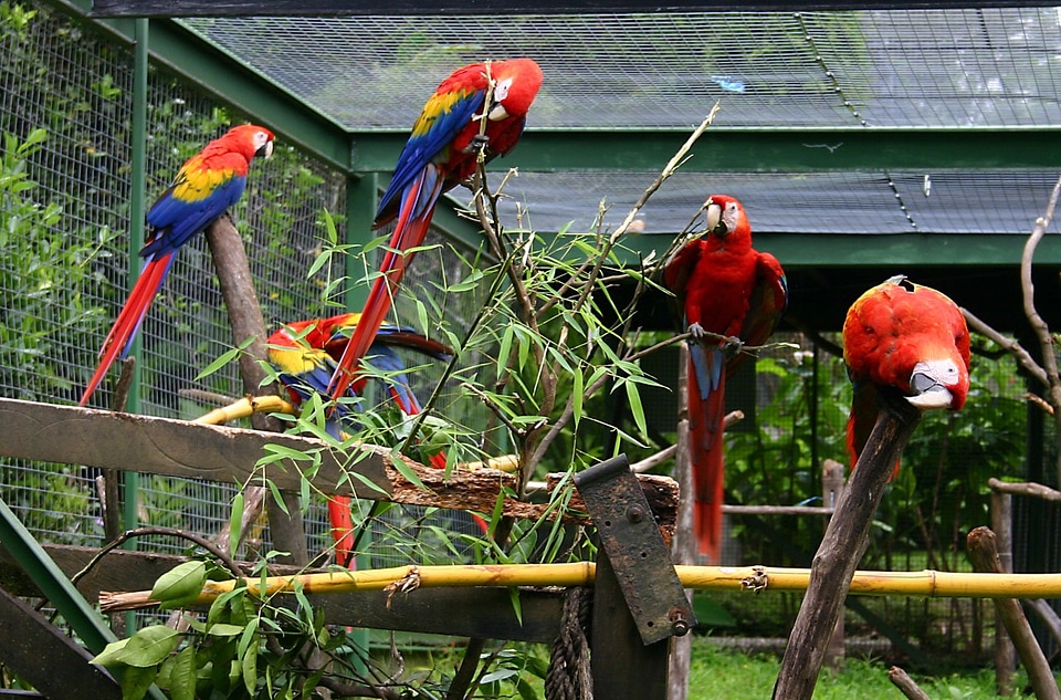 Zoo colorful bright