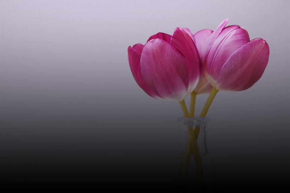 Nature flower birthday