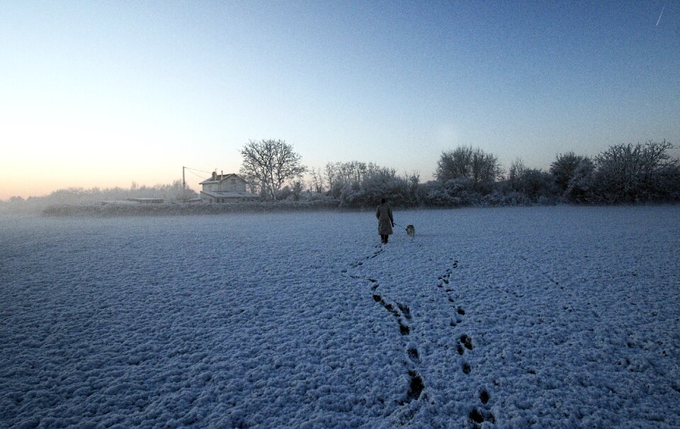 Promenade dog morning