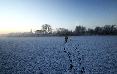 Promenade dog morning