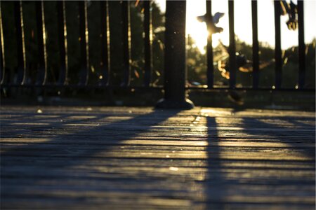 Sunset shadows yard