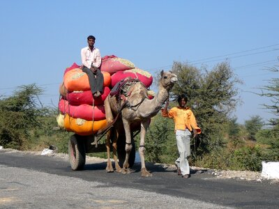 Desert ship overloaded traffic