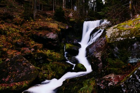 Rocks moss woods photo