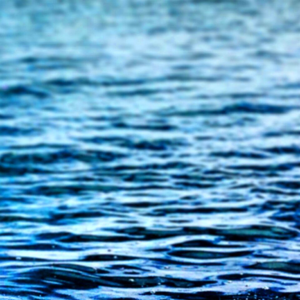 Lake pond beach