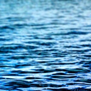 Lake pond beach