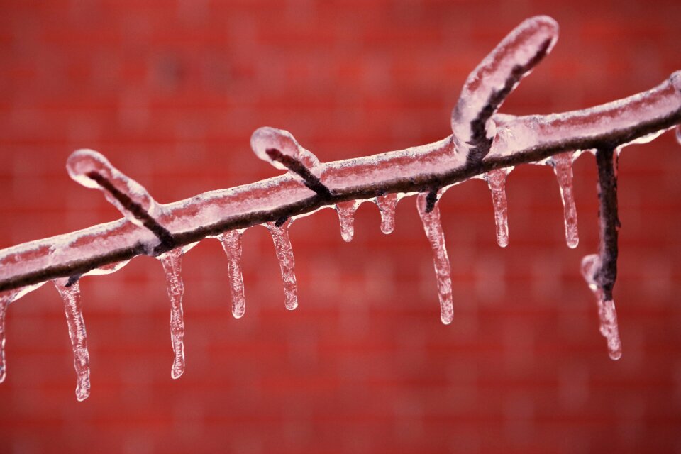 Freezing cold winter