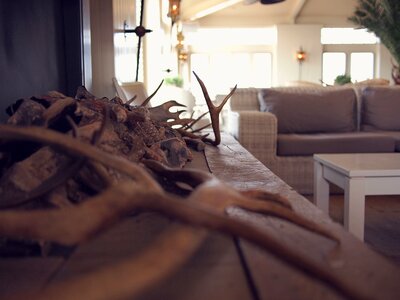 Decor couch sofa