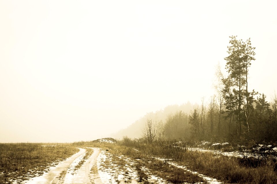 Country nature path