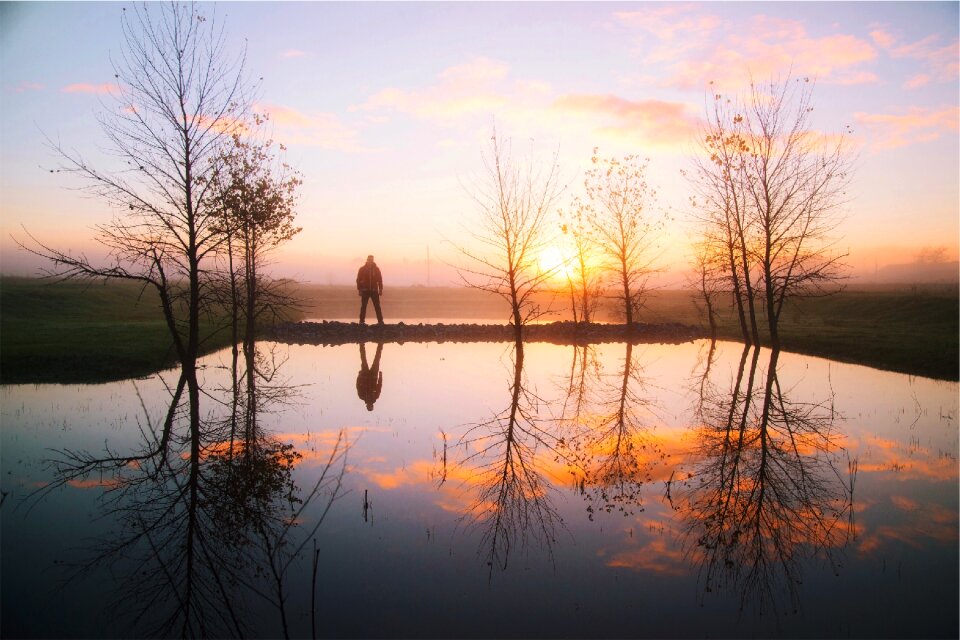 Trees pond guy photo